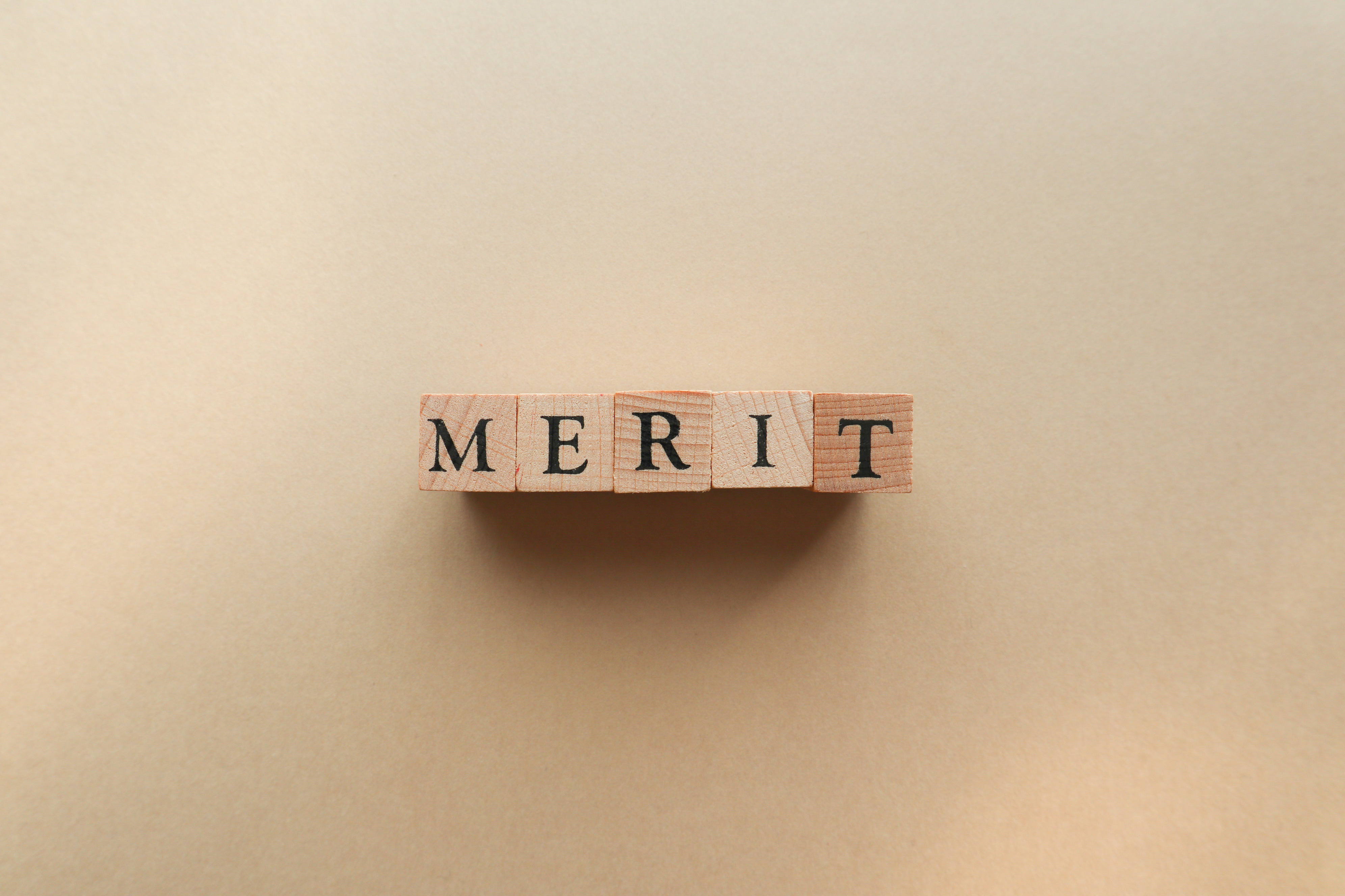 MERITの文字の積み木が並べられている